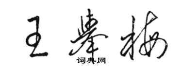 駱恆光王舉梅草書個性簽名怎么寫