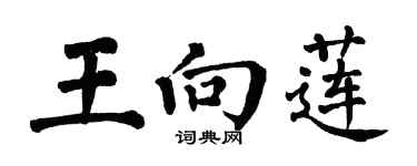 翁闓運王向蓮楷書個性簽名怎么寫