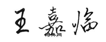 駱恆光王嘉臨行書個性簽名怎么寫