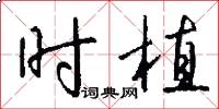 時植怎么寫好看