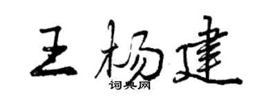 曾慶福王楊建行書個性簽名怎么寫