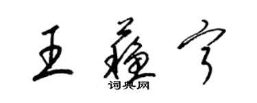 梁錦英王蘇寧草書個性簽名怎么寫