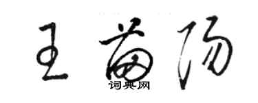 駱恆光王苗陽草書個性簽名怎么寫