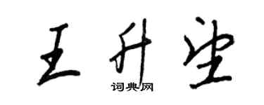 王正良王升望行書個性簽名怎么寫