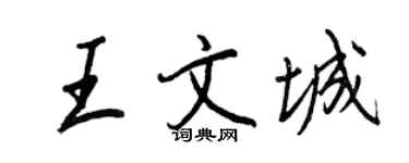 王正良王文城行書個性簽名怎么寫