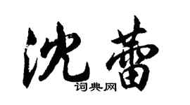 胡問遂沈蕾行書個性簽名怎么寫