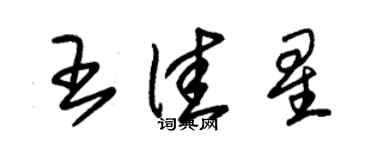 朱錫榮王佳星草書個性簽名怎么寫