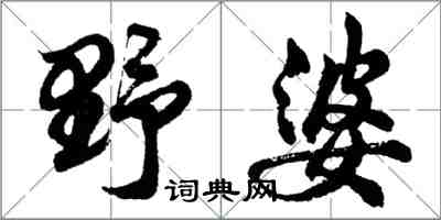 胡問遂野婆行書怎么寫