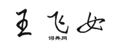 駱恆光王飛女行書個性簽名怎么寫