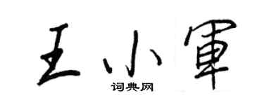 王正良王小軍行書個性簽名怎么寫