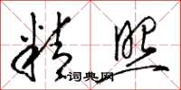 駱恆光精照草書怎么寫