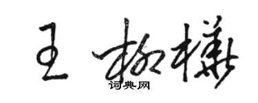 駱恆光王柳樺草書個性簽名怎么寫