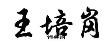 胡問遂王培崗行書個性簽名怎么寫