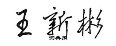 駱恆光王新彬行書個性簽名怎么寫