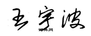 朱錫榮王宇波草書個性簽名怎么寫