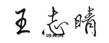 駱恆光王志晴行書個性簽名怎么寫