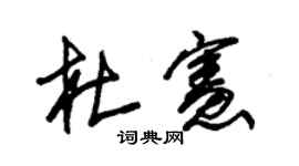 朱錫榮杜憲草書個性簽名怎么寫