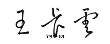 駱恆光王卡雲草書個性簽名怎么寫