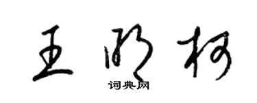 梁錦英王明柯草書個性簽名怎么寫