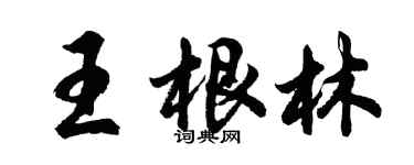 胡問遂王根林行書個性簽名怎么寫