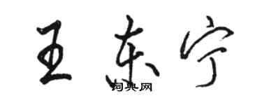 駱恆光王東寧行書個性簽名怎么寫