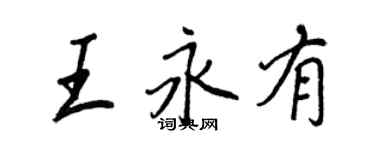 王正良王永有行書個性簽名怎么寫