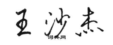 駱恆光王沙傑行書個性簽名怎么寫