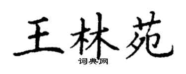 丁謙王林苑楷書個性簽名怎么寫