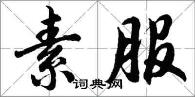 胡問遂素服行書怎么寫