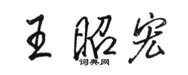 駱恆光王昭宏行書個性簽名怎么寫