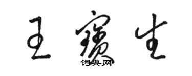 駱恆光王寶生草書個性簽名怎么寫