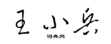 駱恆光王小兵草書個性簽名怎么寫