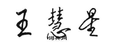 駱恆光王慧星行書個性簽名怎么寫