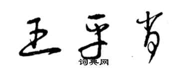 曾慶福王平肖草書個性簽名怎么寫