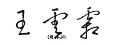 駱恆光王雲霜草書個性簽名怎么寫