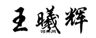 胡問遂王曦輝行書個性簽名怎么寫