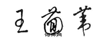 駱恆光王茴葦草書個性簽名怎么寫