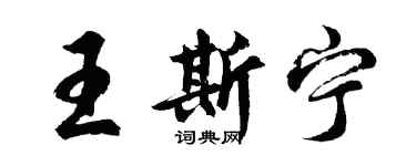 胡問遂王斯寧行書個性簽名怎么寫