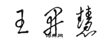 駱恆光王開慧草書個性簽名怎么寫