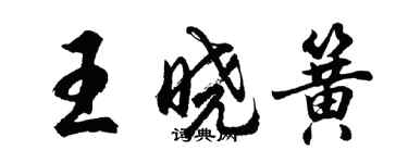 胡問遂王曉簧行書個性簽名怎么寫