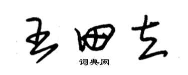 朱錫榮王田立草書個性簽名怎么寫