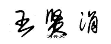 朱錫榮王賢涓草書個性簽名怎么寫