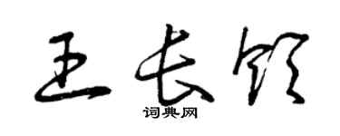 曾慶福王長領草書個性簽名怎么寫