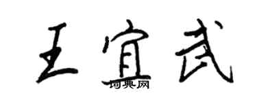 王正良王宜武行書個性簽名怎么寫