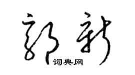 梁錦英郭新草書個性簽名怎么寫