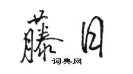 駱恆光藤日行書個性簽名怎么寫