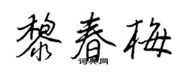 王正良黎春梅行書個性簽名怎么寫