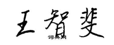 王正良王智斐行書個性簽名怎么寫