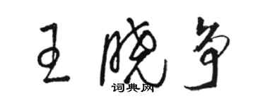 駱恆光王曉爭草書個性簽名怎么寫