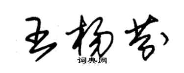 朱錫榮王楊芬草書個性簽名怎么寫